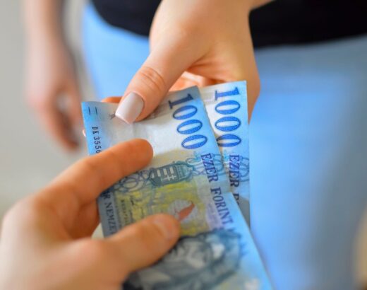 Een prachtige schutting? Zo kies je de juiste oplossing voor jouw tuin