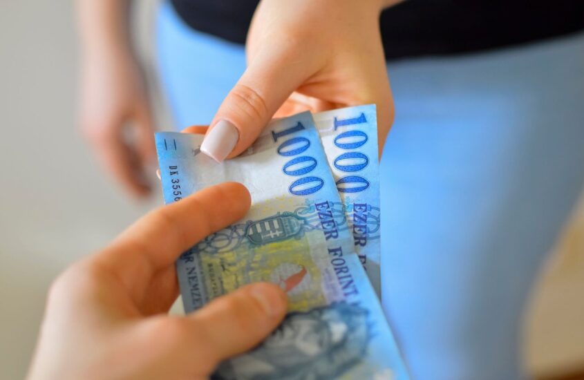 Een prachtige schutting? Zo kies je de juiste oplossing voor jouw tuin